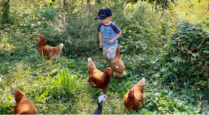 Table Manners: How We Raise Free-Range Kids Free Range Kid