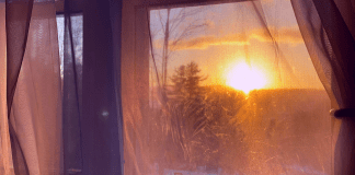 Finding Balance in Stress: My Steps for the New Year Finding Balance