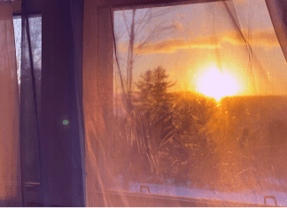 Finding Balance in Stress: My Steps for the New Year Finding Balance