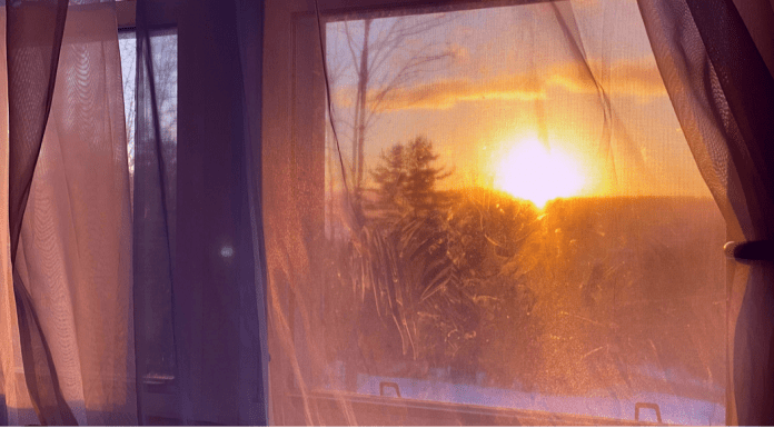 Finding Balance in Stress: My Steps for the New Year Finding Balance