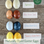 Naturally Dyed Easter Eggs for Safe, Nontoxic Family Fun pint