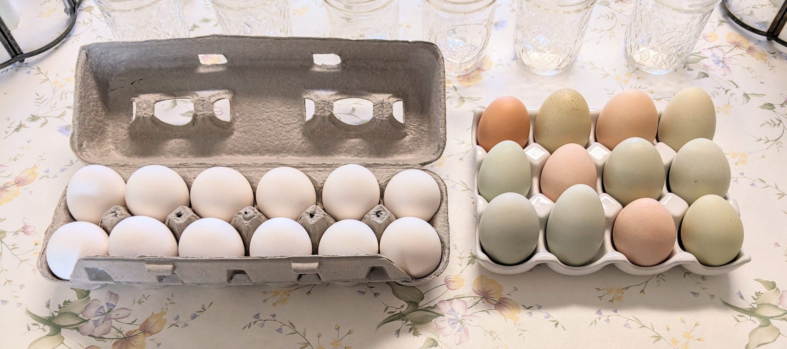farm-fresh eggs and white, store-bought eggs