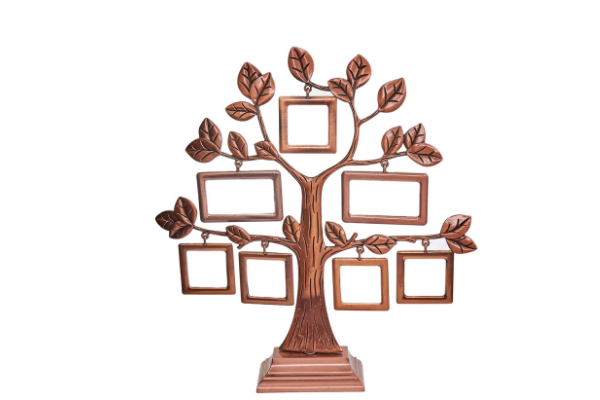 https://vermont.momcollect