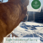 Eight Indicators of Spring from a Seasoned Vermont Mom pint