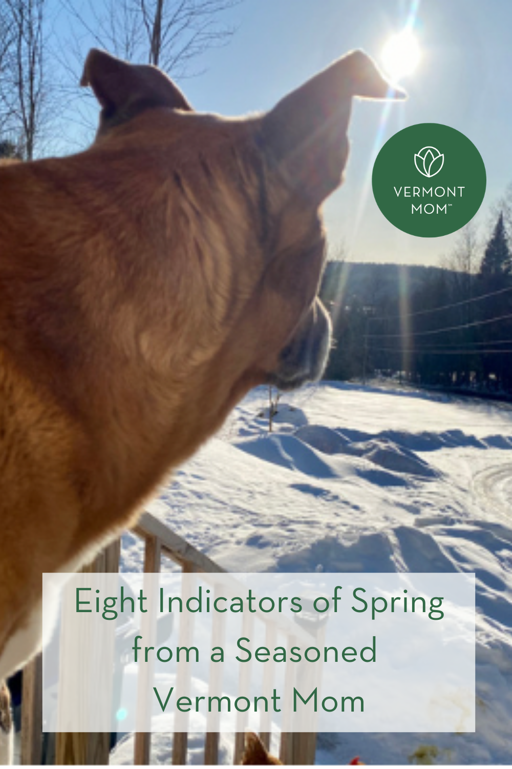 Eight Indicators of Spring from a Seasoned Vermont Mom
