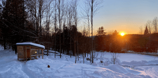 Indicators of Spring
