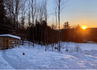 Eight Indicators of Spring from a Seasoned Vermont Mom Indicators of Spring