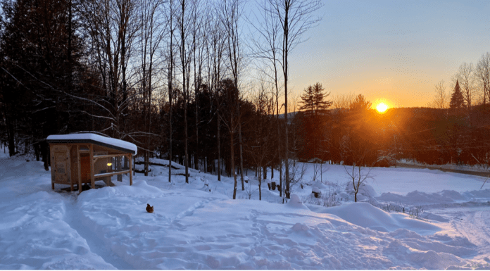 Eight Indicators of Spring from a Seasoned Vermont Mom Indicators of Spring