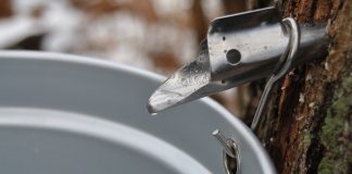 Real Vermont Maple Syrup – Eight Creative Uses Beyond Breakfast