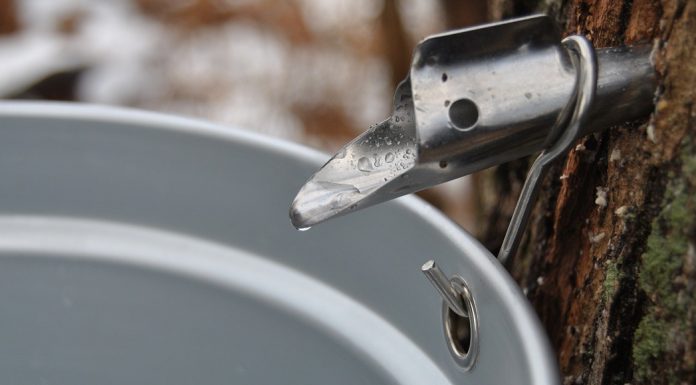Real Vermont Maple Syrup – Eight Creative Uses Beyond Breakfast