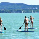 paddleboards