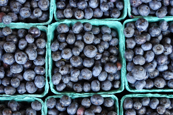 several pints of blueberries
