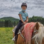 horse2