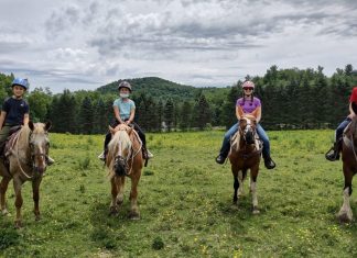 Horseback Riding – A Great Outdoor Activity for the Whole Family horseback riding