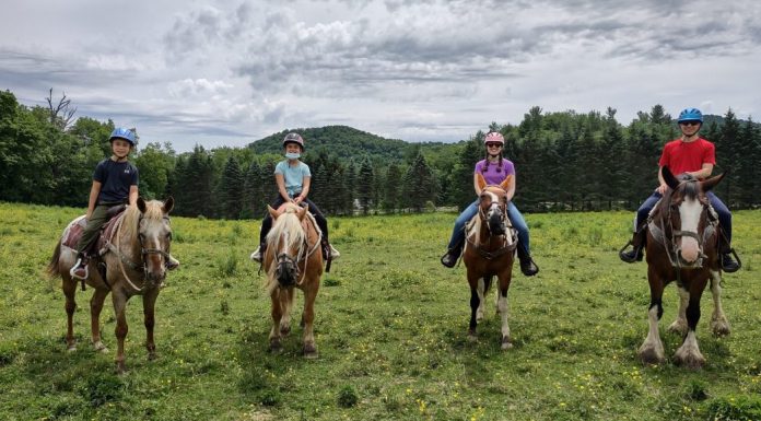 Horseback Riding – A Great Outdoor Activity for the Whole Family horseback riding
