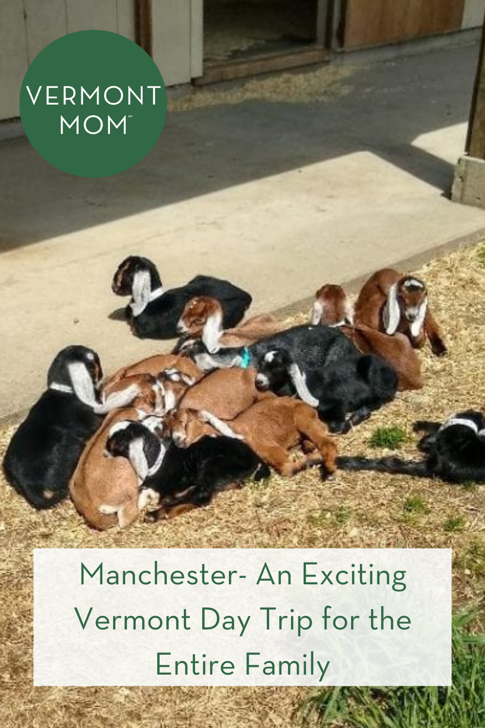 Manchester- An Exciting Vermont Day Trip for the Entire Family