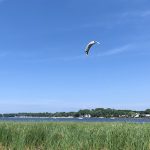 Delta Park