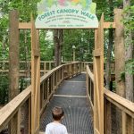 Forest Canopy Walk