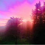Moving Next Door Sunset