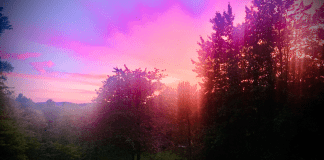 Moving Next Door: Mom’s Five Lessons Learned