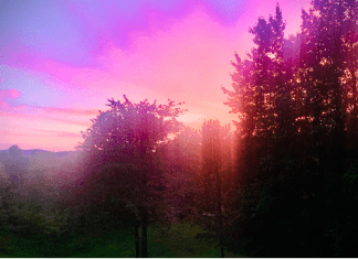 Moving Next Door: Mom’s Five Lessons Learned