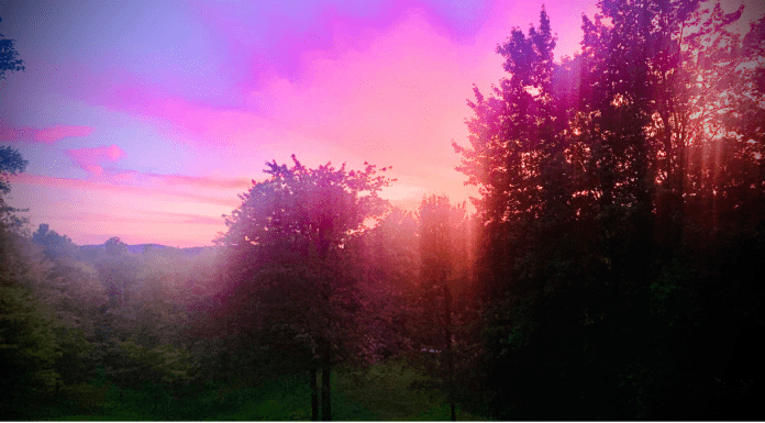 Moving Next Door: Mom’s Five Lessons Learned