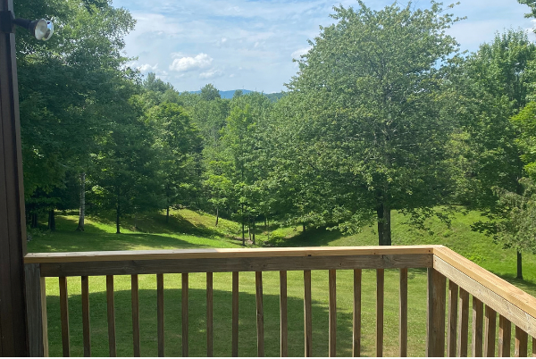 view from a porch in summer.