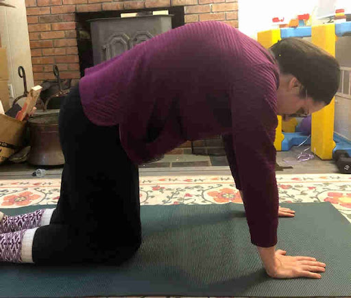 cat-camel stretches as a way to begin exercising after having a baby