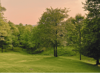 Summer Goals: Five Ways This Mom Makes it Personal Summer goals