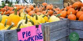 The Ultimate Guide to ALL the Vermont Fall Fun