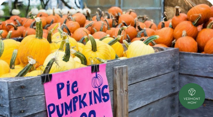 The Ultimate Guide to ALL the Vermont Fall Fun