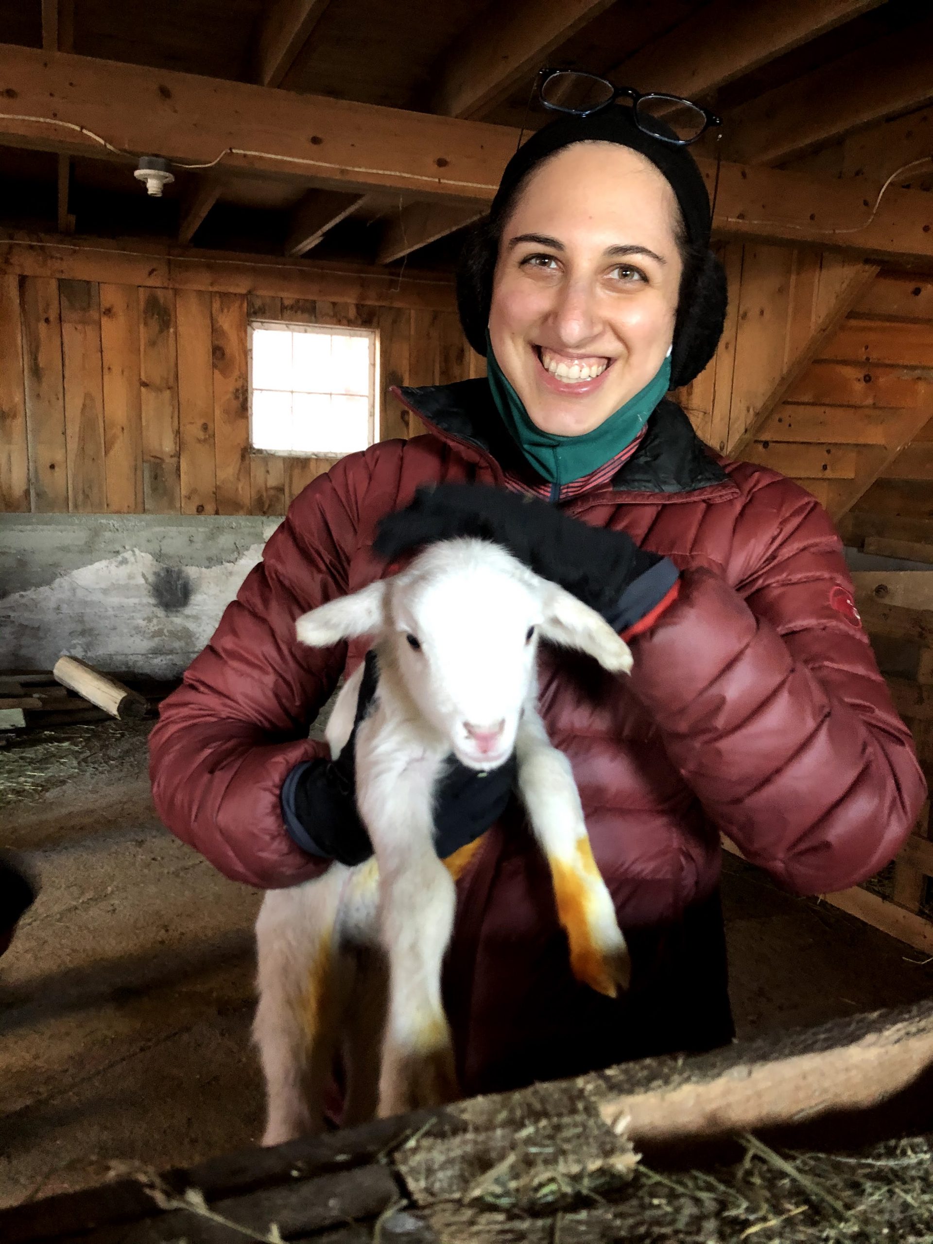 IMG_2853 Hasidic Jewish woman happily holding a lamb