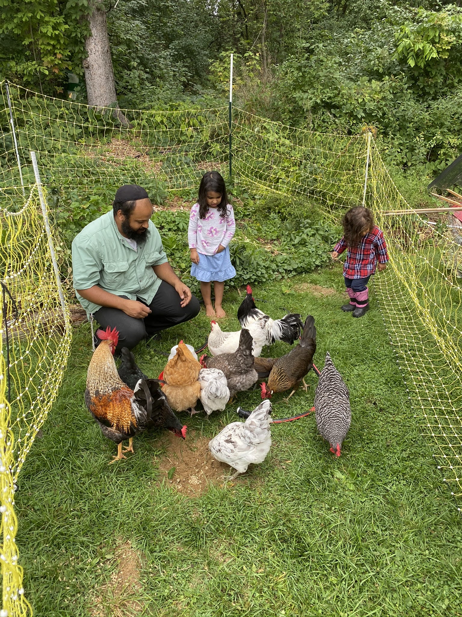 IMG_0204 Hasidic Rabbi with his kids feeding their chickens