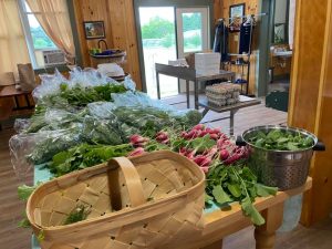 CSA pickup day at HAMMS farm. A great way to eat local in Rutland County.