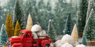 2022 Vermont Holiday Activities for the Whole Family