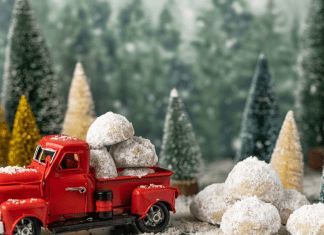 2022 Vermont Holiday Activities for the Whole Family