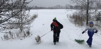 Essential Winter Gear for People of All Ages Two children run up a snowy driveway with sleds and a white dog