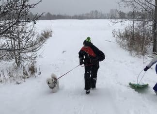 Essential Winter Gear for People of All Ages Two children run up a snowy driveway with sleds and a white dog