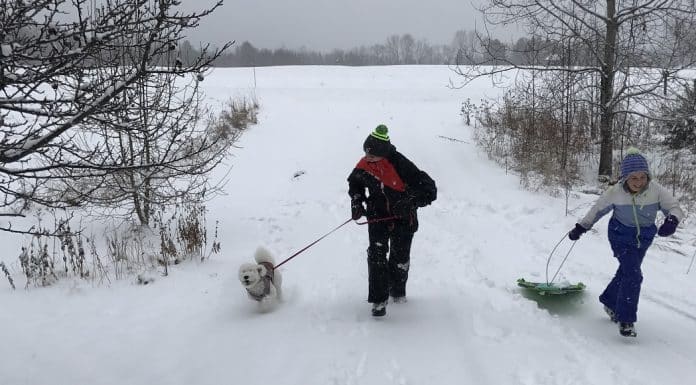 Essential Winter Gear for People of All Ages Two children run up a snowy driveway with sleds and a white dog