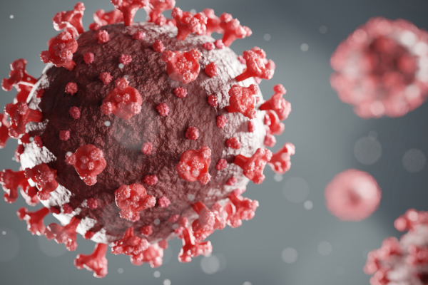covid virus