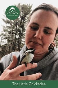 woman with a bird perched on her finger