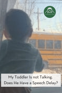 My toddler is not talking