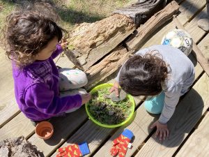 Two little girls making a nature "pizza pie"