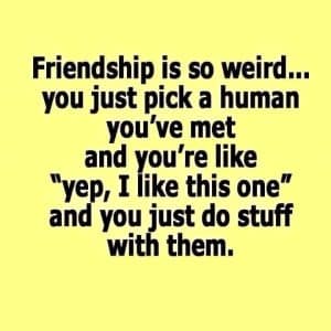 Meme about friendship