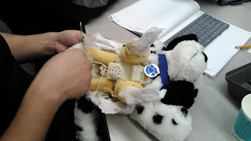 A high school students explores how a walking dog toy works.