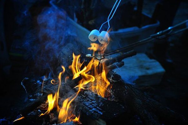 roasting marshmallows over a campfire