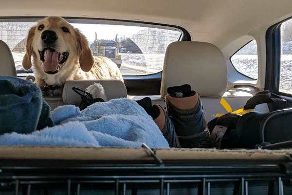 Belongings and Dog Packed into Car