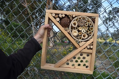 tinkering project from rediscover center