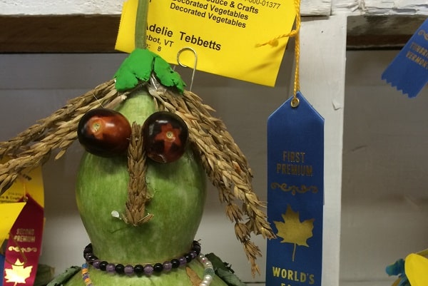 A squash with cherry tomato eyes, wearing a beaded necklace, wins a blue ribbon in the decorated vegetable contest.