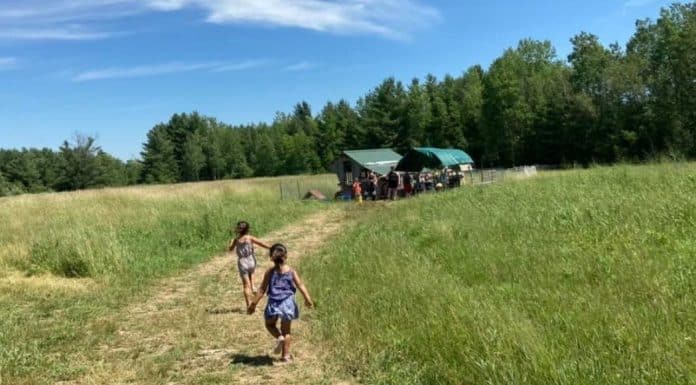New Village Farm Brings the Magic of Nature to Children and Adults Alike Children running to pet the goats at New Village Farm